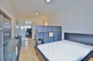 Prodej bytu 1+1 - Praha 3 - Žižkov - pokoj