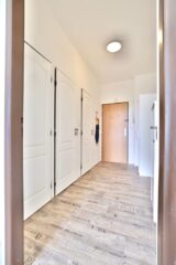 Prodej bytu 1+1 - Praha 3 - Žižkov - chodba