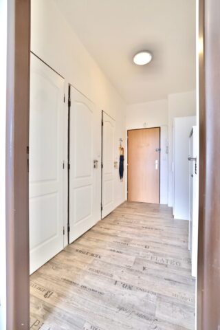 Prodej bytu 1+1 - Praha 3 - Žižkov - chodba Prodej bytu 1+1 - Praha 3 - Žižkov - chodba